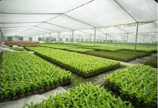 垃圾處理 垃圾處理