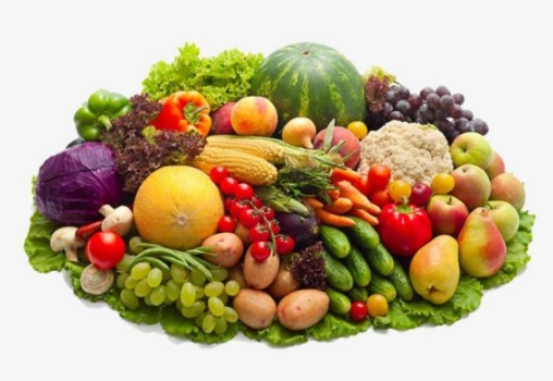 垃圾分類后，濕垃圾怎么處理好?